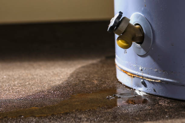 Best Flood damage cleanup  in Manassas Park, VA