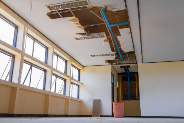Best Professional water damage repair  in Manassas Park, VA