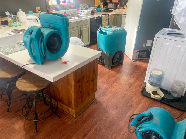 Best Water damage cleanup near me  in Manassas Park, VA