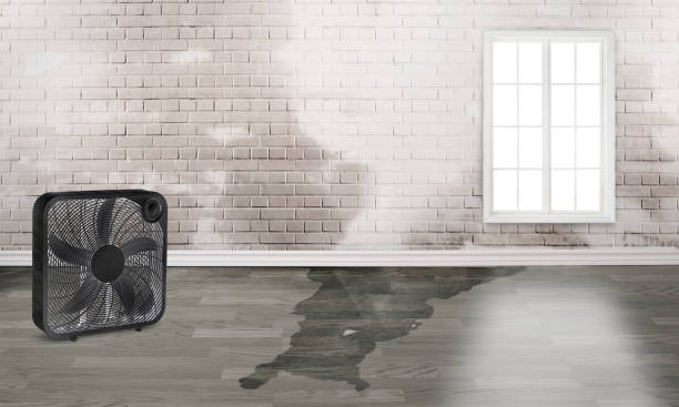 Best Water damage restoration insurance claims  in Manassas Park, VA