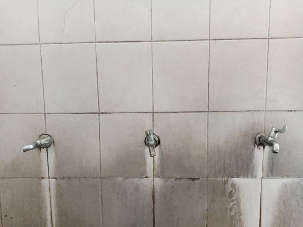 Best Mold removal after water damage  in Manassas Park, VA