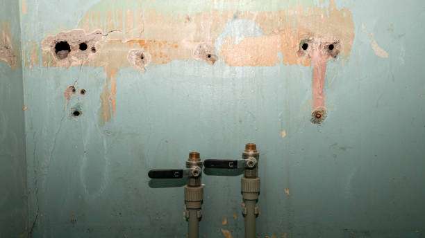 Best Water damage cleanup near me  in Manassas Park, VA