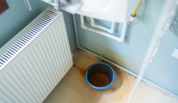 Best Carpet water damage restoration  in Manassas Park, VA